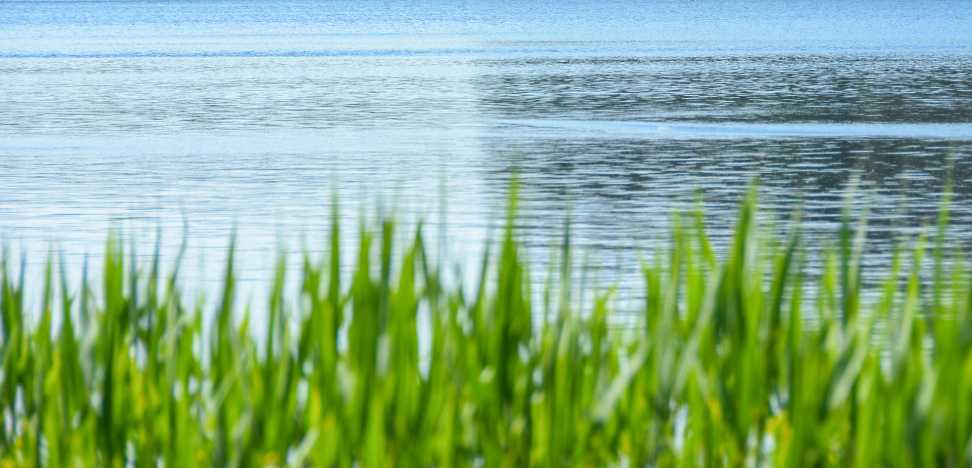 Vereinstreffen am Cospudener See: Unser bisheriger Partner LMBV verweigert nun den Wassersport am Zwenkauer See, duldet hingegen andere und z. T. wenig umweltverträgliche Aktivitäten ...